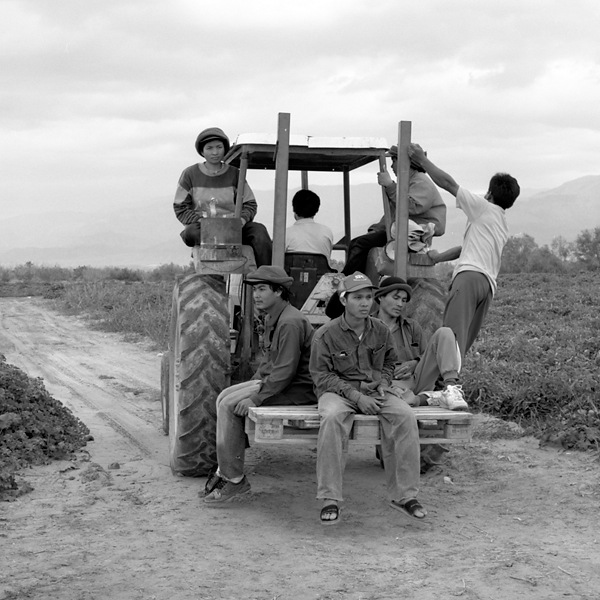 Workers riding on back of tractor